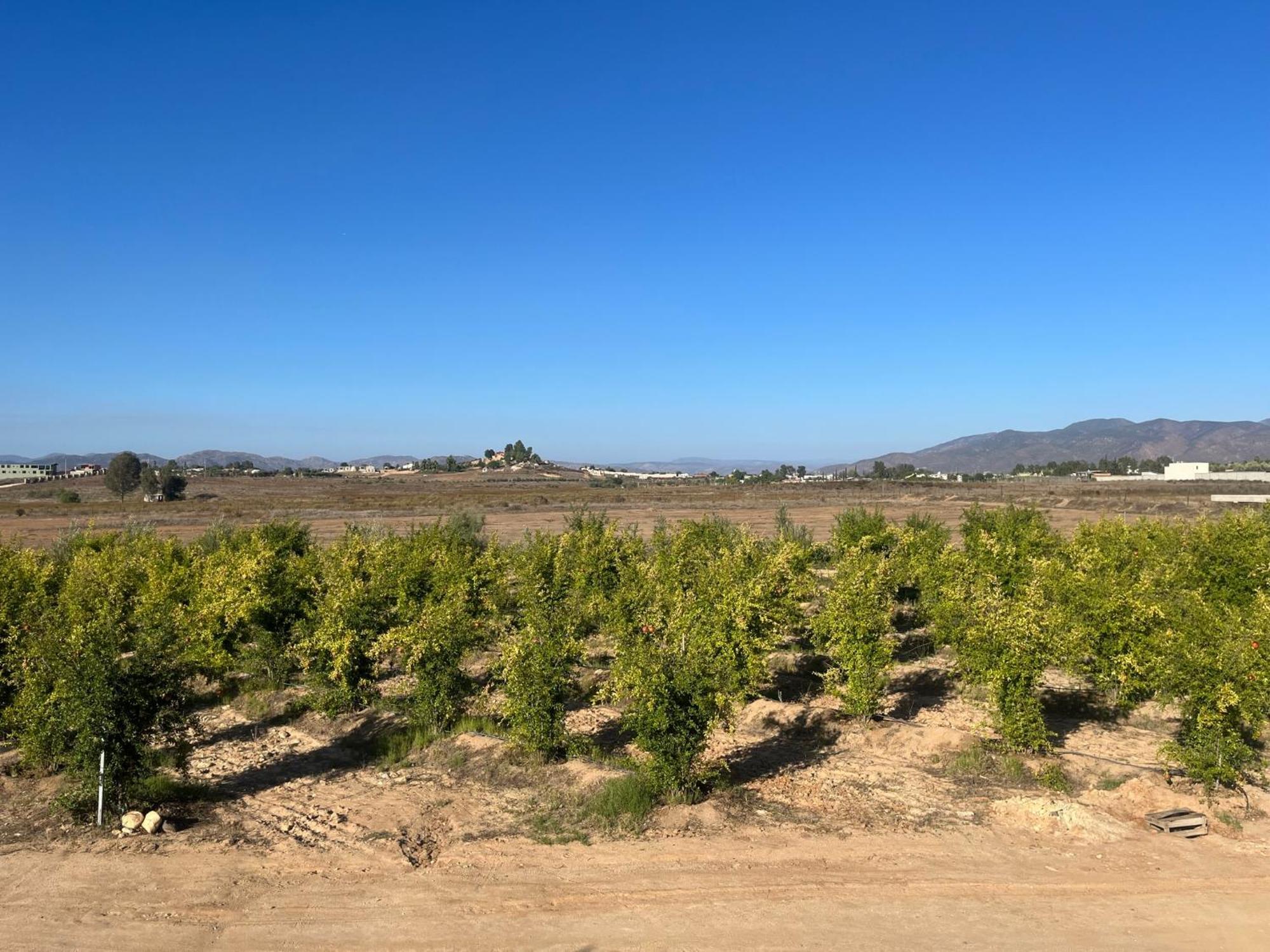 Villas Persas By Jardin De Persia Valle de Guadalupe Exterior photo